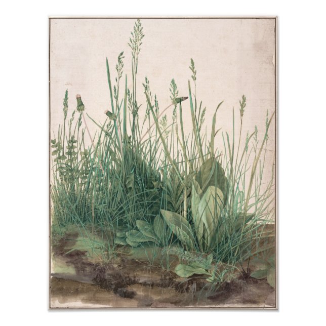 Grosses Stück Turf von Albrecht Durer Fotodruck (Vorne)