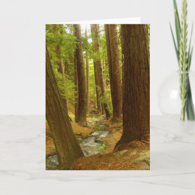 Großes Sur, Kalifornien Karte (Vorderseite)