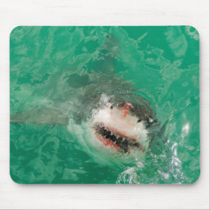 Großes Weiß Shark1 Mousepad