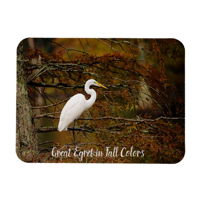 Großes Weißes Egret in Herbstfarben Flexible Magne Magnet (Horizontal)