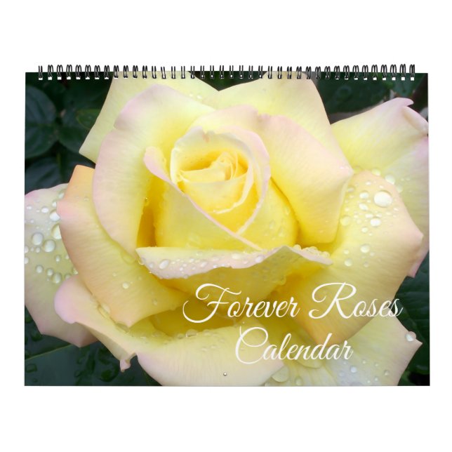 Großformat Forever Roses Kalender (Titelbild)