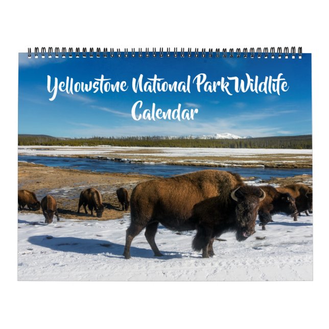 Großformat Yellowstone-Kalender-Wildtierkalender Kalender (Titelbild)