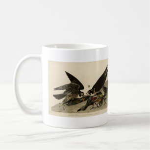 Grossfüßiger Hawk von Audubons Vögeln in Amerika Kaffeetasse