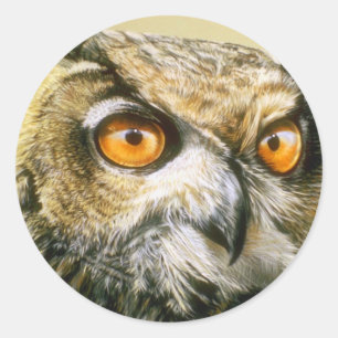 Großhornvögel Runder Aufkleber
