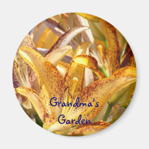 Großmagnete Magnete Orange Lily Blume Magnet