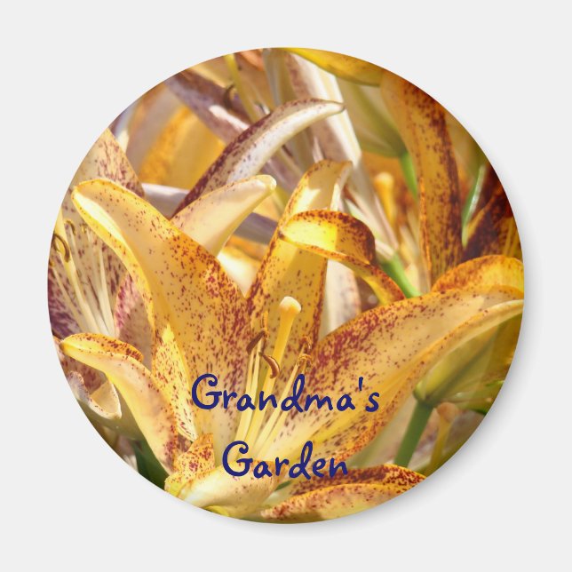 Großmagnete Magnete Orange Lily Blume Magnet (Vorne)