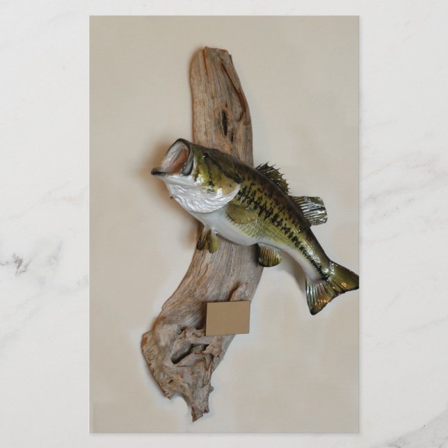 Großmundbass Flyer (Vorne)