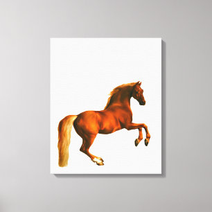 Großmutter der Godolphin Arabian Canvas Print Leinwanddruck