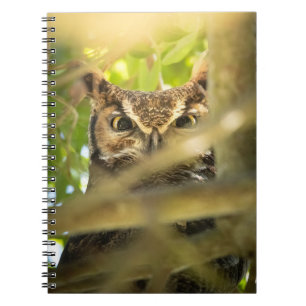 Großohrkauz-Wildlife-Natur-Foto-Kunstprint Notizblock