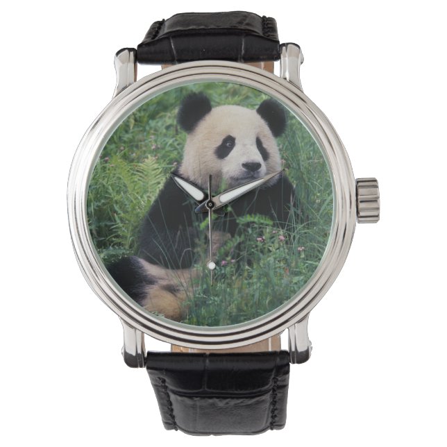 Großpanda im Gras, Wolong Valley, Sichuan Armbanduhr (Vorderseite)