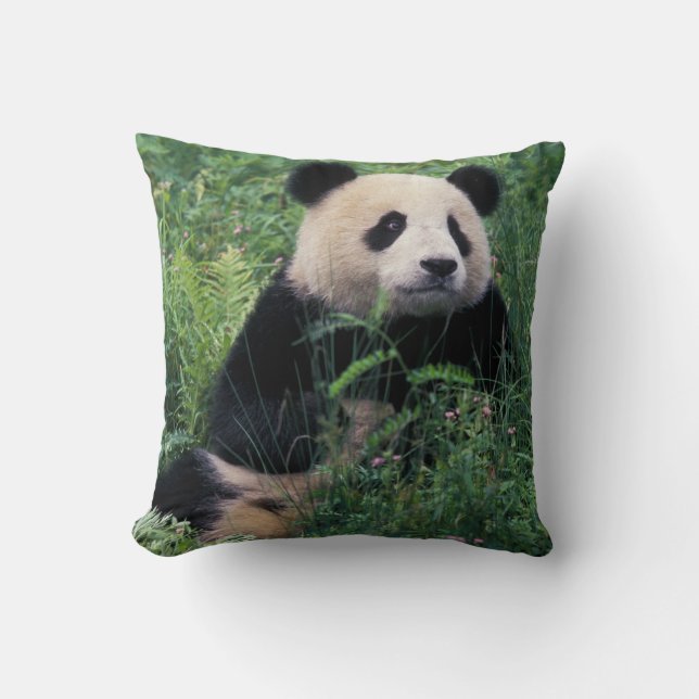 Großpanda im Gras, Wolong Valley, Sichuan Kissen (Vorderseite)