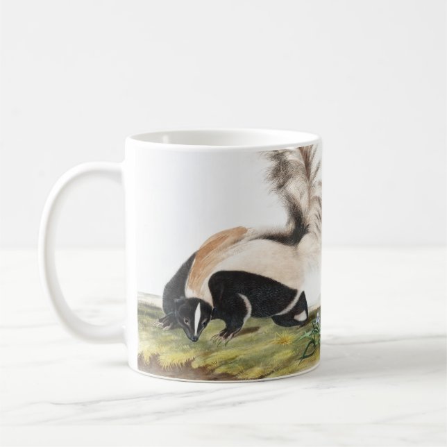 Großschwanz-Skunk Mephitis macroura Illustration Kaffeetasse (Links)