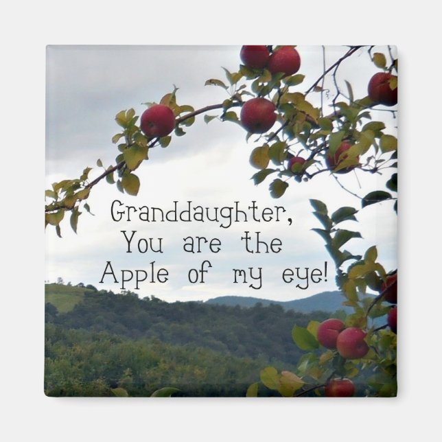 Großtochter, Du bist der Apfel meines Auges! Magnet (Vorne)