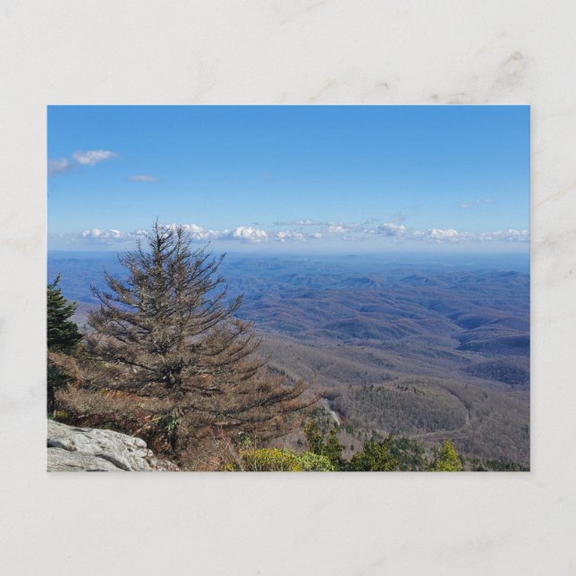 Großvater Mountain Staat Park NC Einfahrt Straße Postkarte (Vorderseite)
