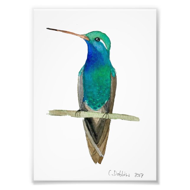 Großzügiger Hummingvogel auf einem Zweig Fotodruck (Vorne)