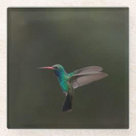 Großzügiger Kolibri Glasuntersetzer