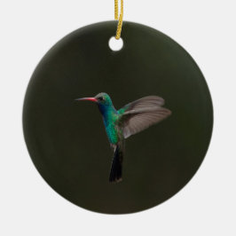 Großzügiger Kolibri Keramik Ornament