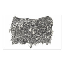 Grotesque Number 1, flach