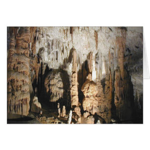 Grottes de Postojna