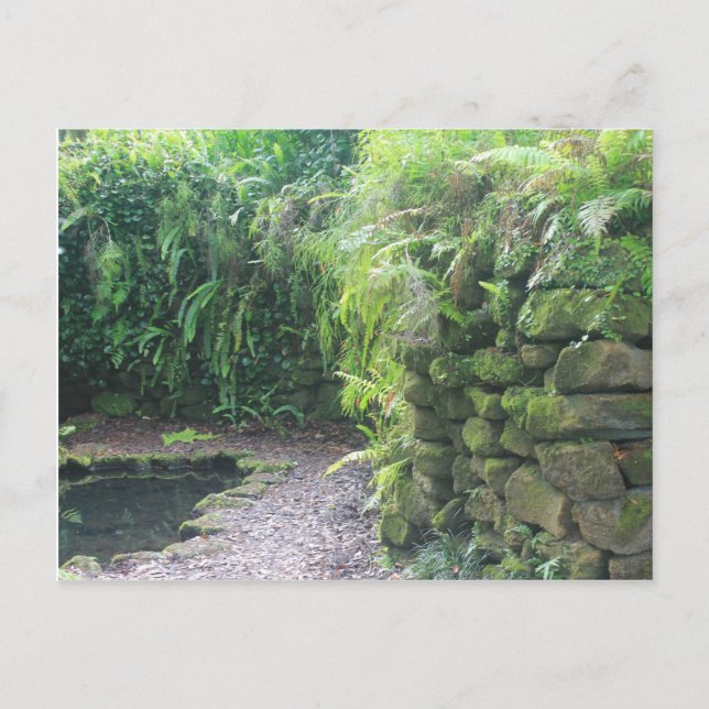 Grotto des Teiches Postkarte (Vorderseite)