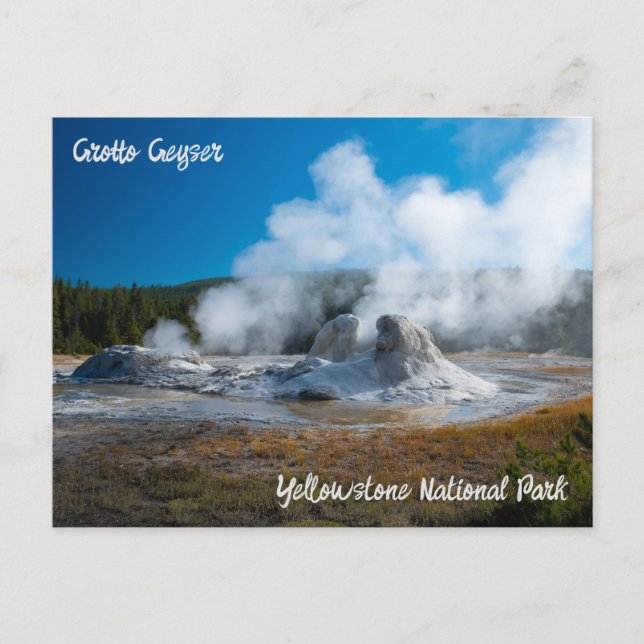 Grotto Geyser Yellowstone Nationalpark Postkarte (Vorderseite)