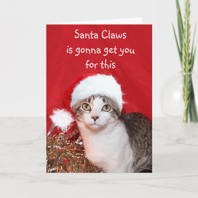 Grouchy Christmas cat Feiertagskarte (Vorderseite)