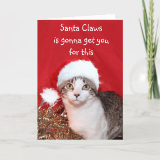 Grouchy Christmas cat Feiertagskarte