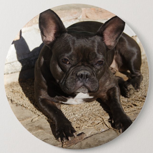 Grouchy French Bulldog Button (Vorderseite)