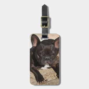 Grouchy French Bulldog Gepäckanhänger