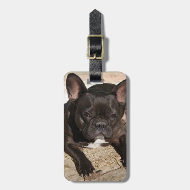 Grouchy French Bulldog Gepäckanhänger (Vorderseite vertikal)