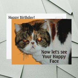 Grouchy Grumpy Cat Exotic Kurz haar Persian Postkarte