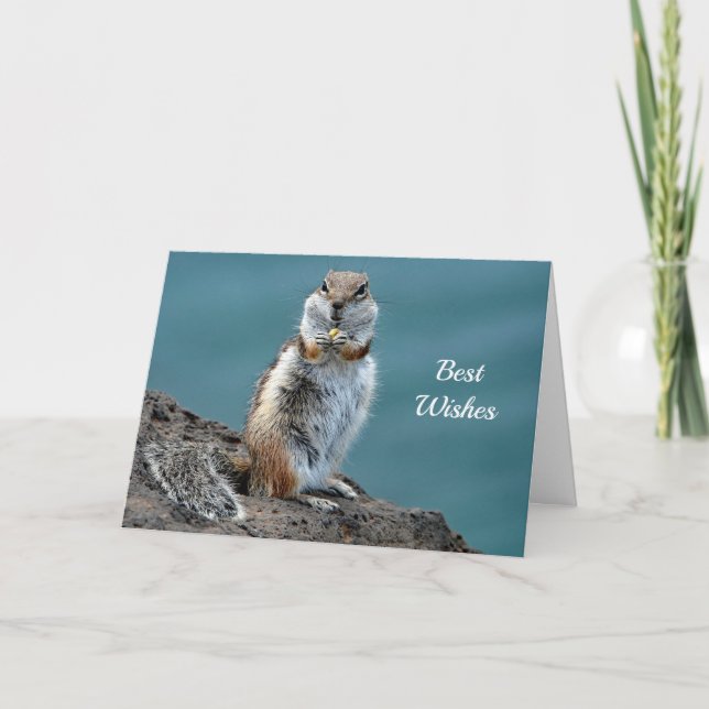 Ground Eichhörnchen Glückwunsch Hochzeitskarte Karte (Vorderseite)