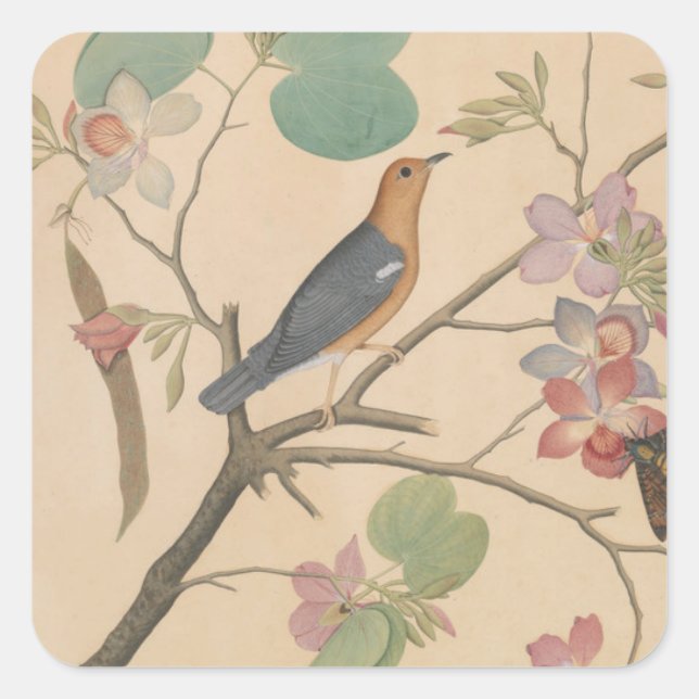 Ground Thrush and Moth auf einer Orchid-Zweigstell Quadratischer Aufkleber (Vorderseite)