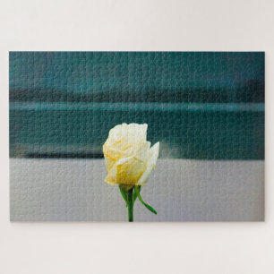 Ground Zero Water - New York