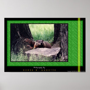 GroundHog 2 Poster