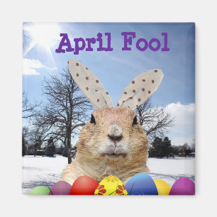 Groundhog April Narr Day Magnet