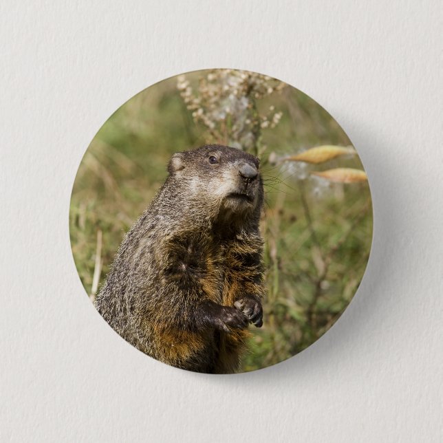Groundhog Button (Vorderseite)