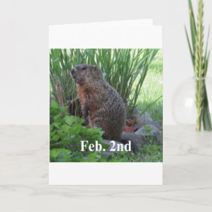 Groundhog Day Karte