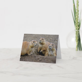 Groundhog Day Karte