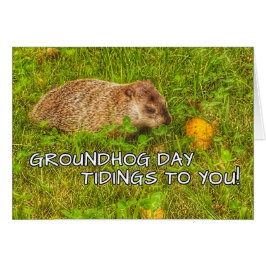 Groundhog Day-Neuigkeiten zu Ihnen! Grußkarten