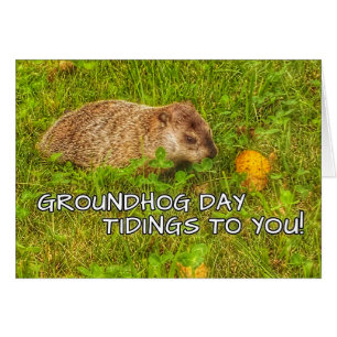 Groundhog Day-Neuigkeiten zu Ihnen! Grußkarten