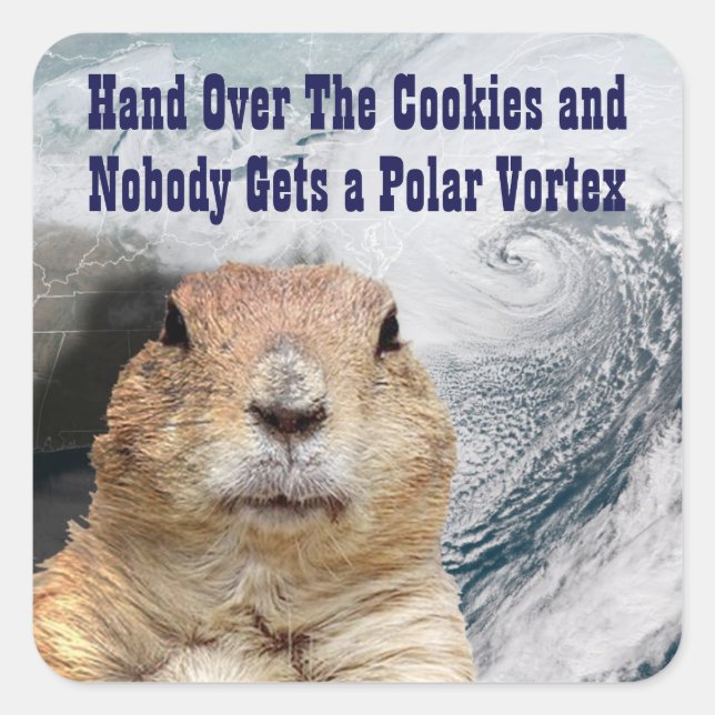 Groundhog Day Polar Vortex Quadratischer Aufkleber (Vorderseite)