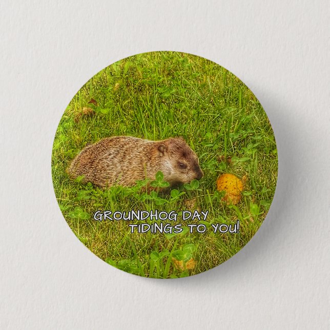 Groundhog Day Tidings zu Ihnen auf Knopf! Button (Vorderseite)