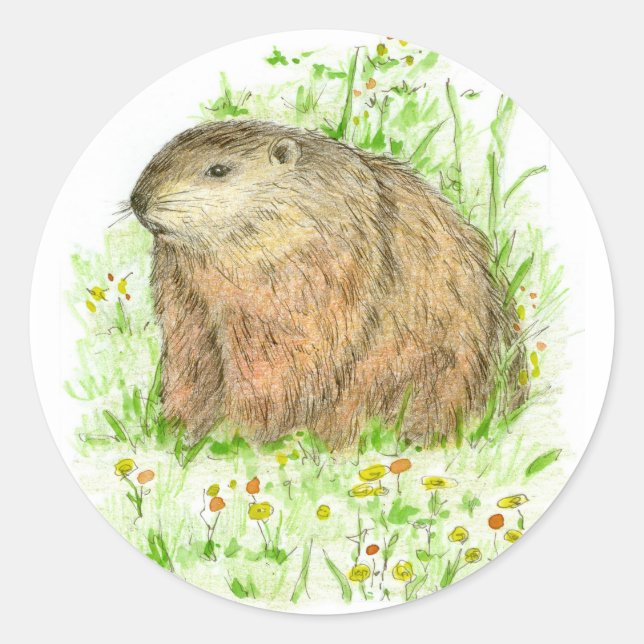 Groundhog Day Woodchuck Rodent Runder Aufkleber (Vorderseite)