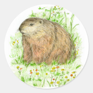 Groundhog Day Woodchuck Rodent Runder Aufkleber