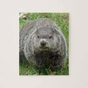 Groundhog Essen