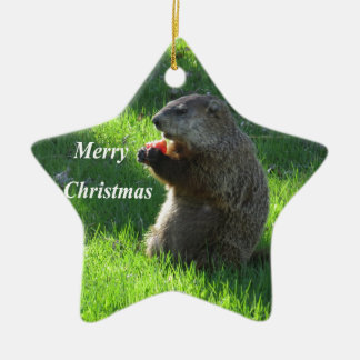 Groundhog Essen Keramik Ornament