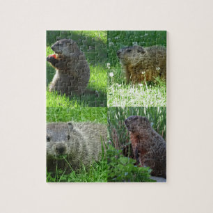 Groundhog Gemisch