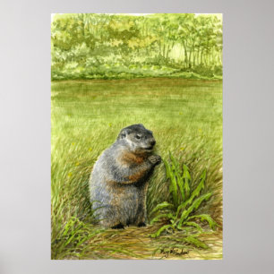 Groundhog im Gras essen Poster