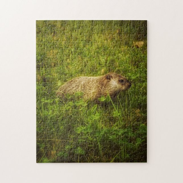 Groundhog in einem Feld-Puzzle (Vertikal)